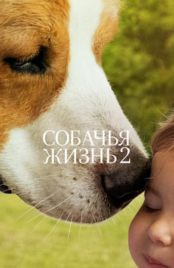 Фильм Собачья жизнь 2 (2019) смотреть онлайн в хорошем качестве
